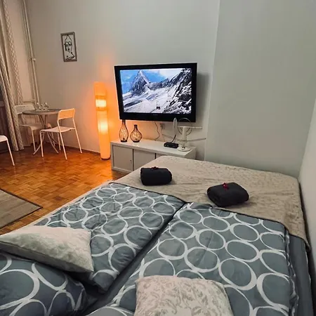 Stan Na Dan Causevac Centar Grada *