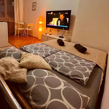 Stan Na Dan Causevac Centar Grada *